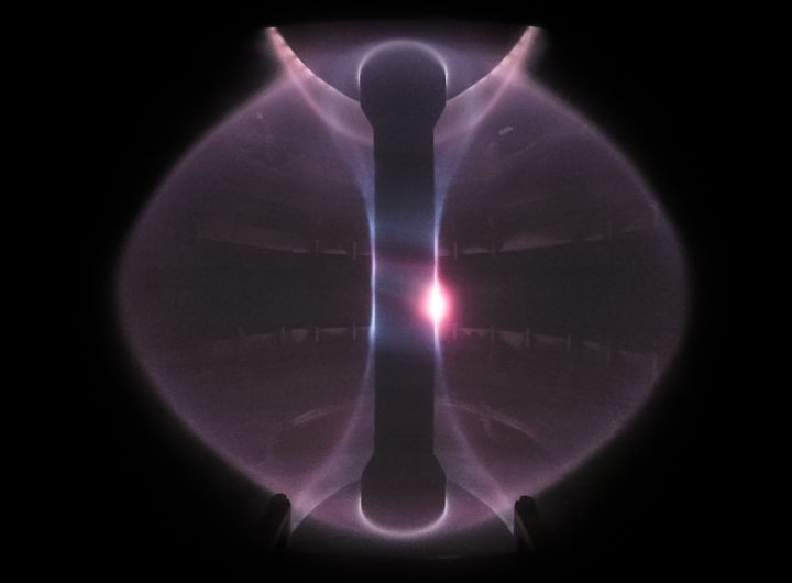 nuclear fusion reactor