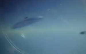 Airplane UFO Video